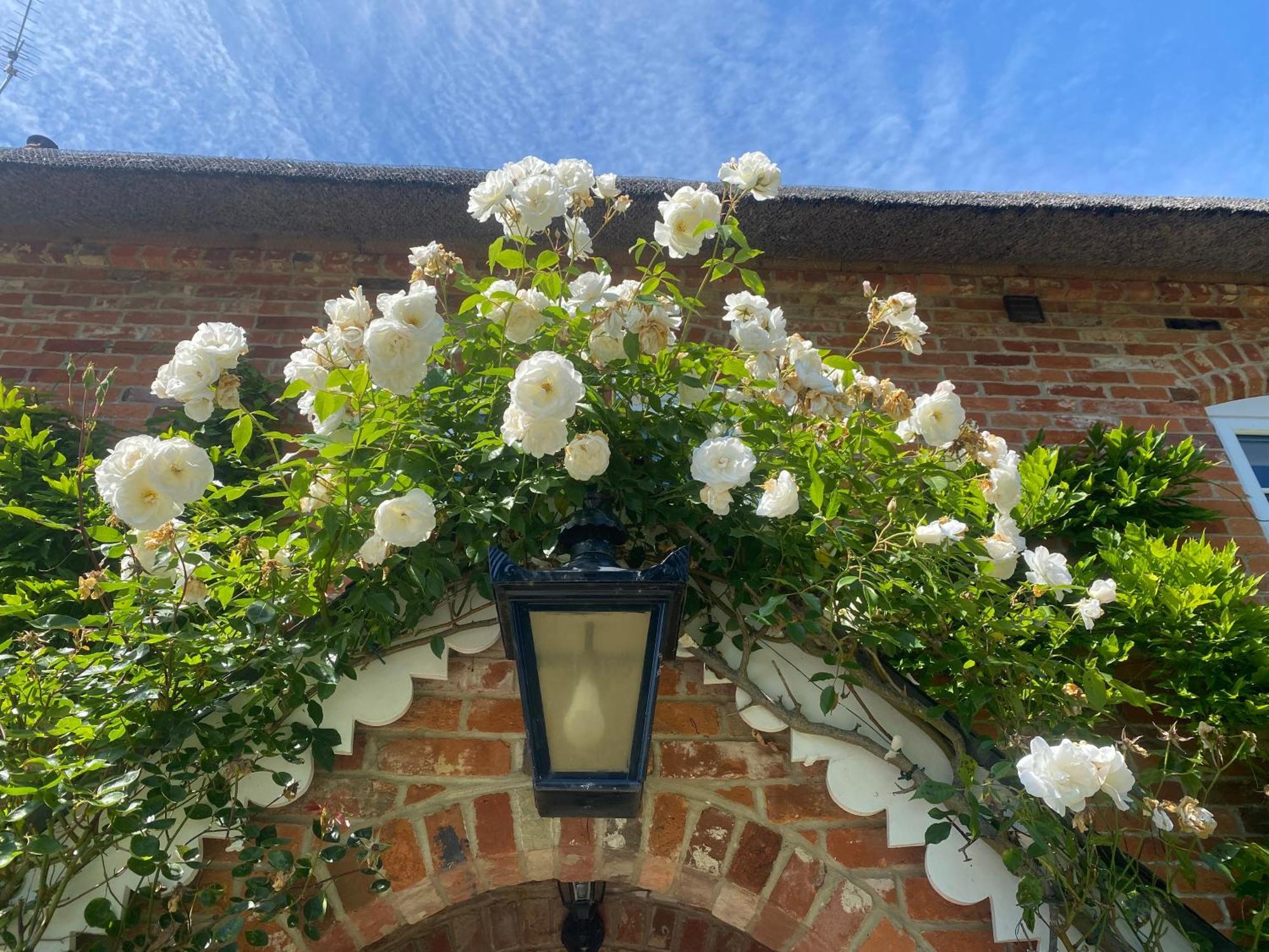 Little Woodside A Beautiful New Forest Self Contained Private Luxury Annexe New Milton Εξωτερικό φωτογραφία