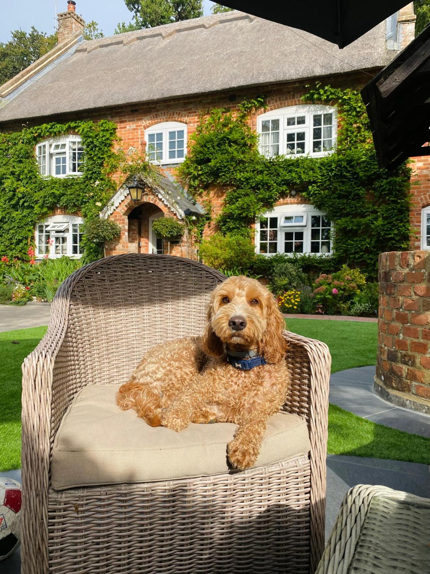 Little Woodside A Beautiful New Forest Self Contained Private Luxury Annexe New Milton Εξωτερικό φωτογραφία
