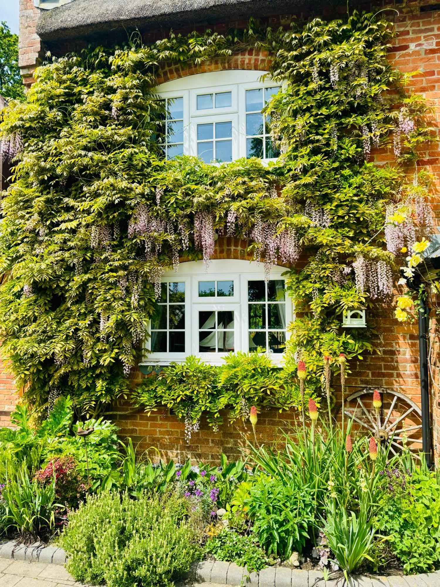 Little Woodside A Beautiful New Forest Self Contained Private Luxury Annexe New Milton Εξωτερικό φωτογραφία
